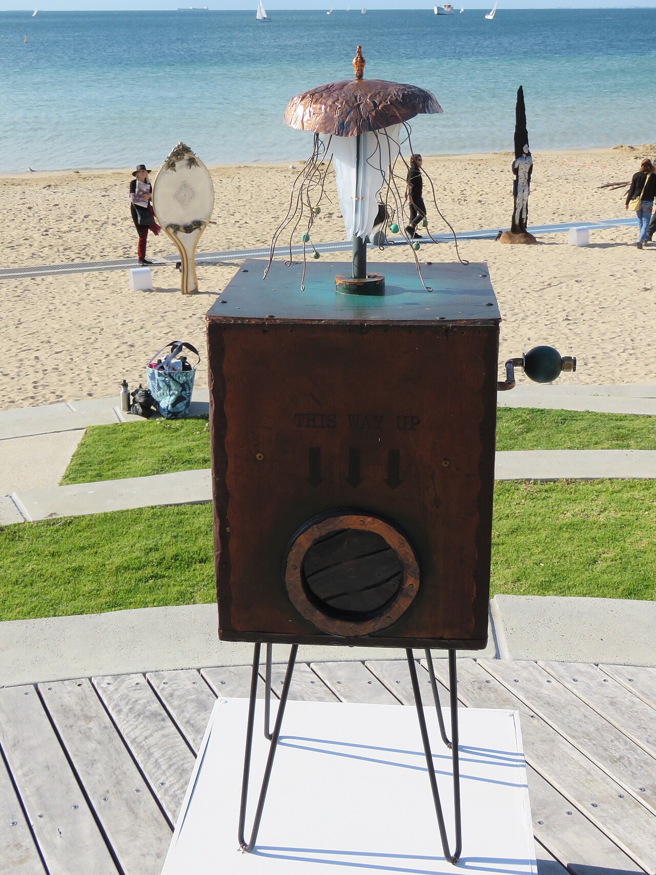 Box jellyfish