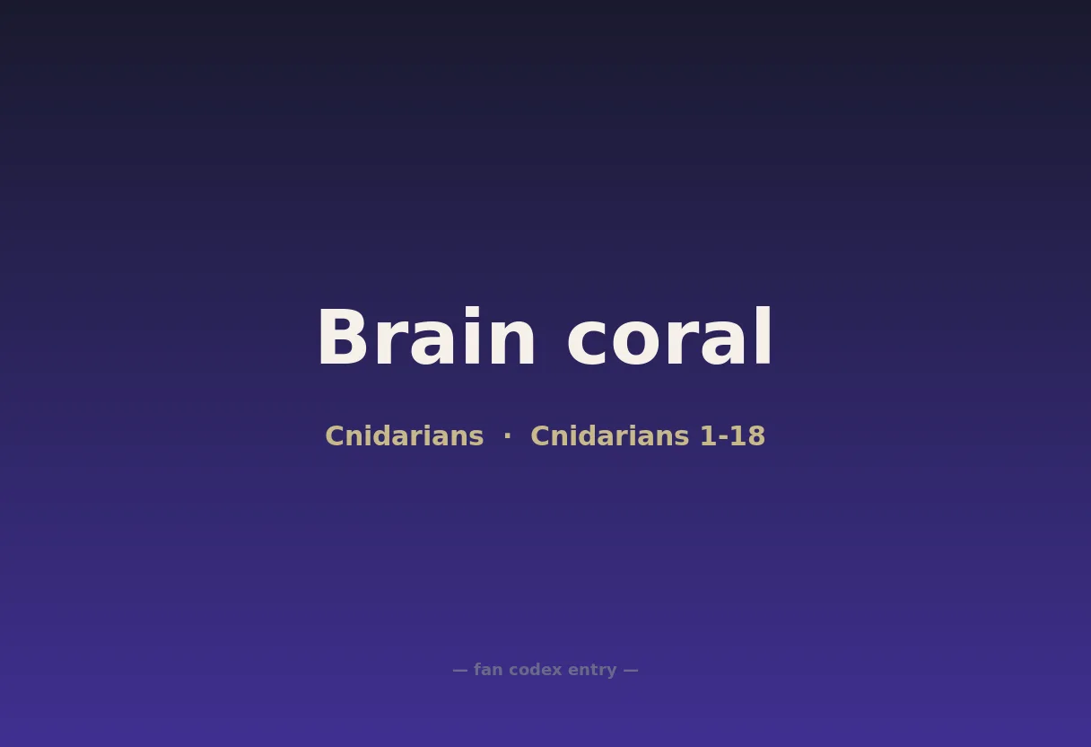 Brain coral